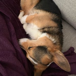 Meet your Posher, Kaylee